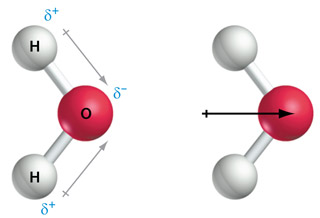 Het bepalen van het dipoolmoment van een watermolecuul.